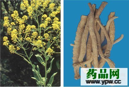 �L�ڷ��ð��{�����������w������