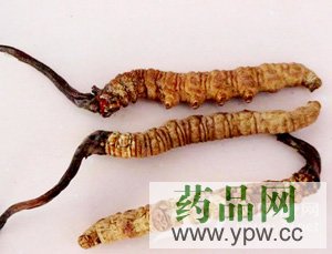 ����֧�У����x�Ĳ��ɱ�e